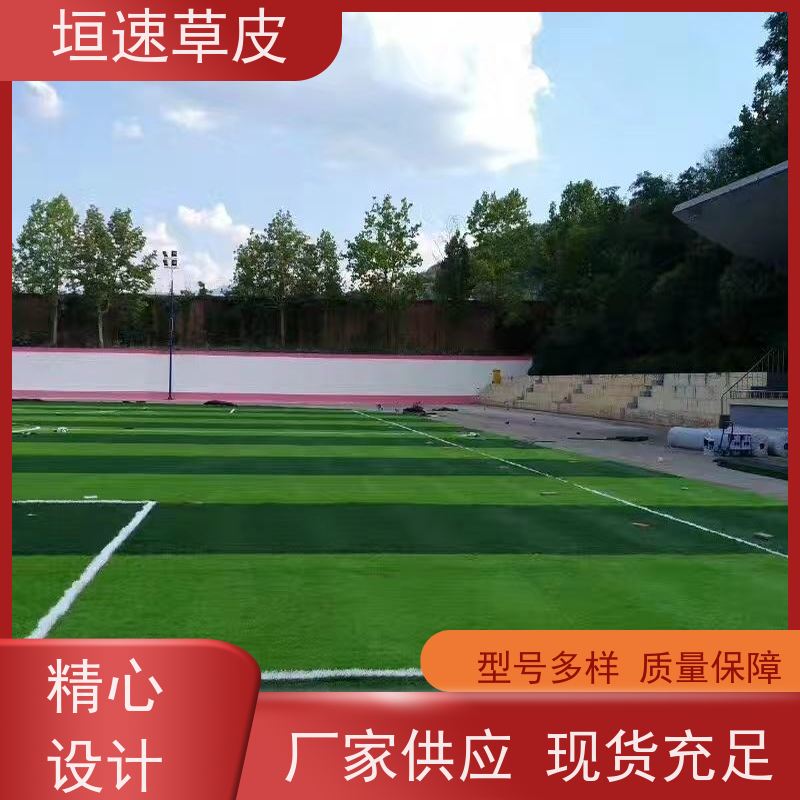 垣速 足球场草坪翻新按需定制 篮球场草坪施工队 苏州足球场搭建