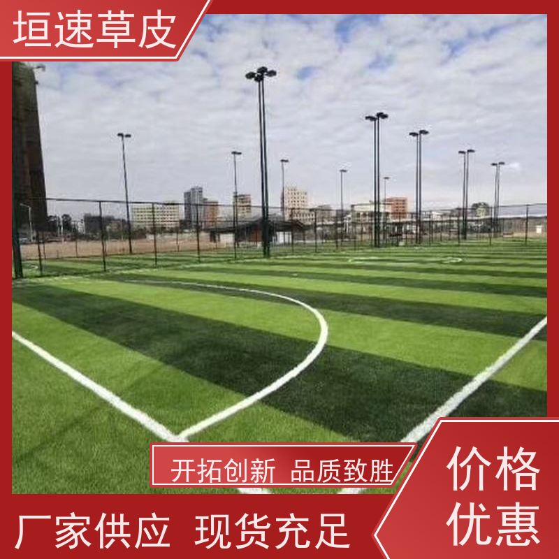垣速 校园足球场建设环保耐磨 屋面绿化草坪基础施工 上海足球场承建