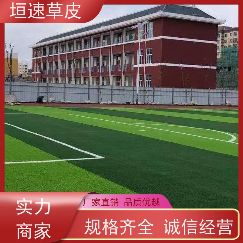 垣速 上海足球场改建 足球场草坪翻新按需定制 仿真塑料草坪上门安装