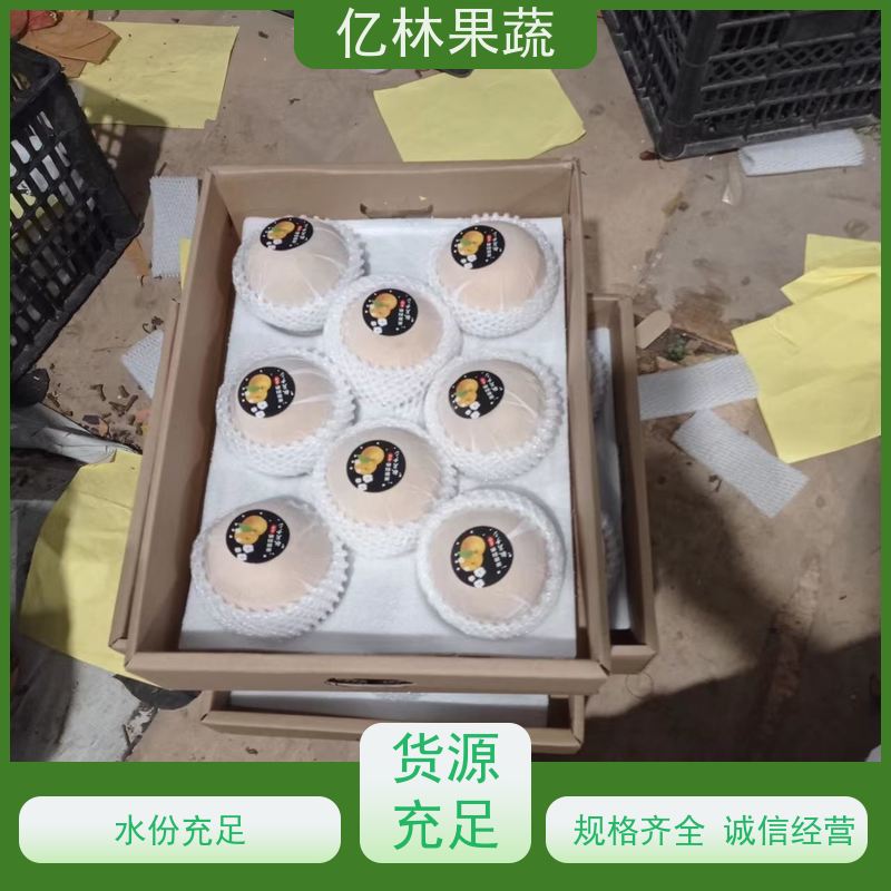 亿林苗木 根系饱满成活率高 南北方种植 香酥梨果树 嫁接梨树苗