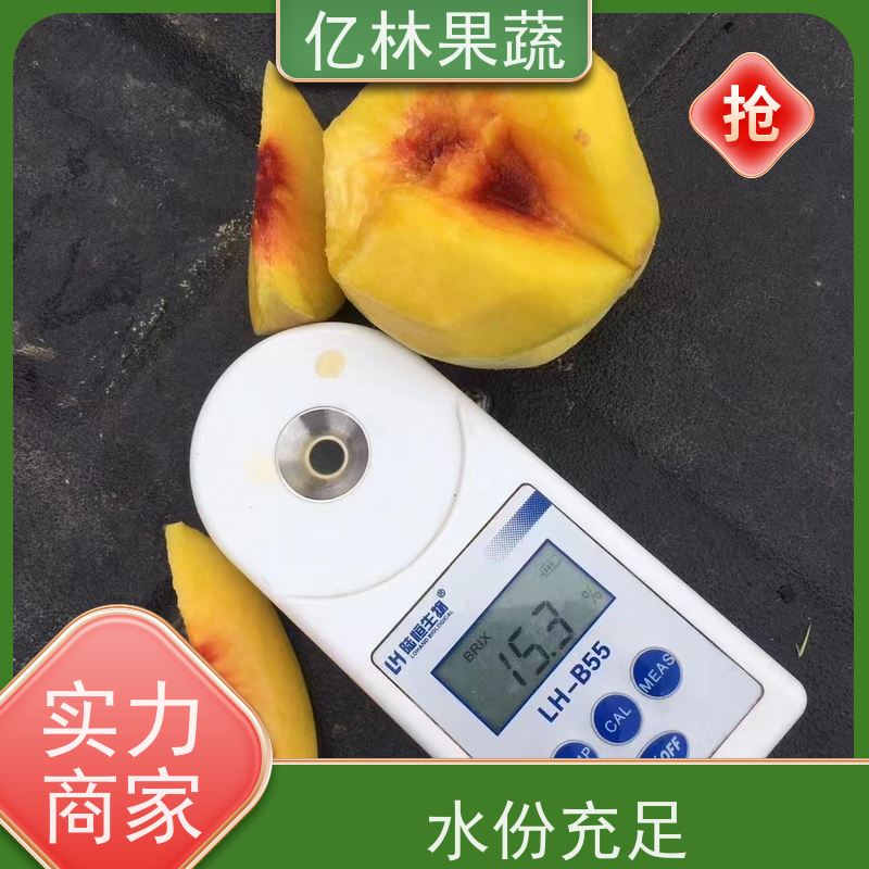 基地供应 八盘梨树苗 成活率高 南北方种植 香酥梨果树