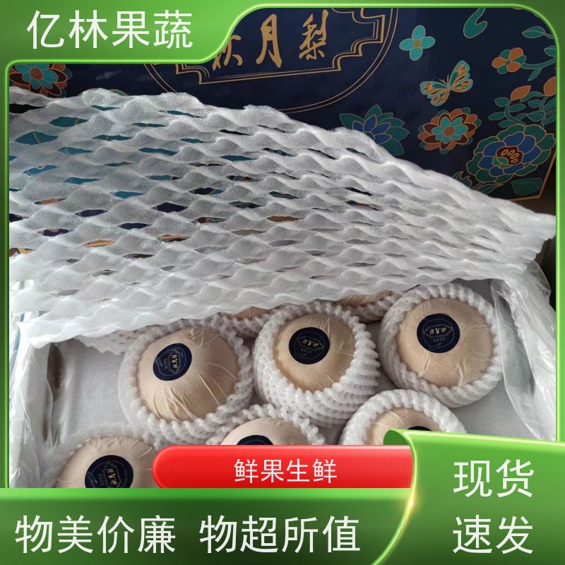 亿林苗木 基地培育 嫁接技术指导 抗寒能力强 金二十世纪树苗
