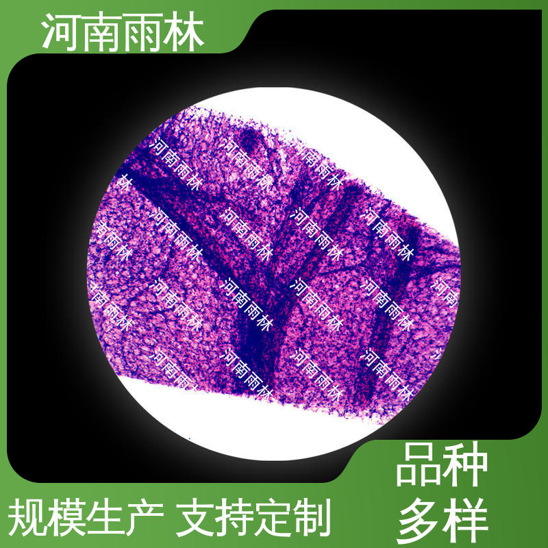 雨林教育工程 质量保障 售后无忧 厂家销售 教学标本