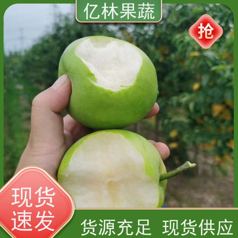 亿林苗木 黄桃苗 嫁接技术指导 抗寒能力强 根系饱满成活率高