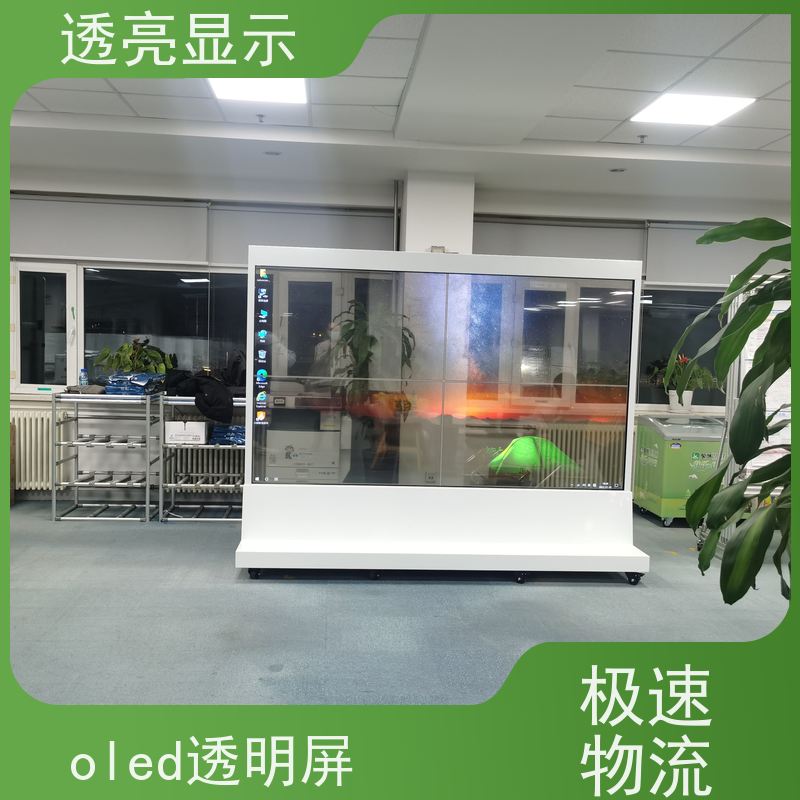 透亮显示 55寸超薄oled双面屏 可定制和可扩展的设计 厂家供应