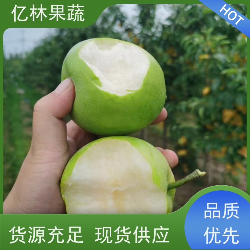 亿林苗木 果实饱满味道好 嫁接技术指导 抗寒能力强 红香酥梨树苗