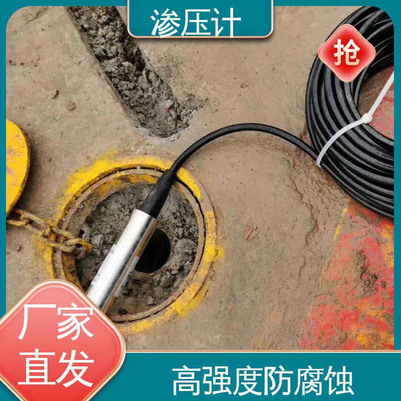 硅压阻式渗压计 地基基础 土壤土体水压力 全天候观测