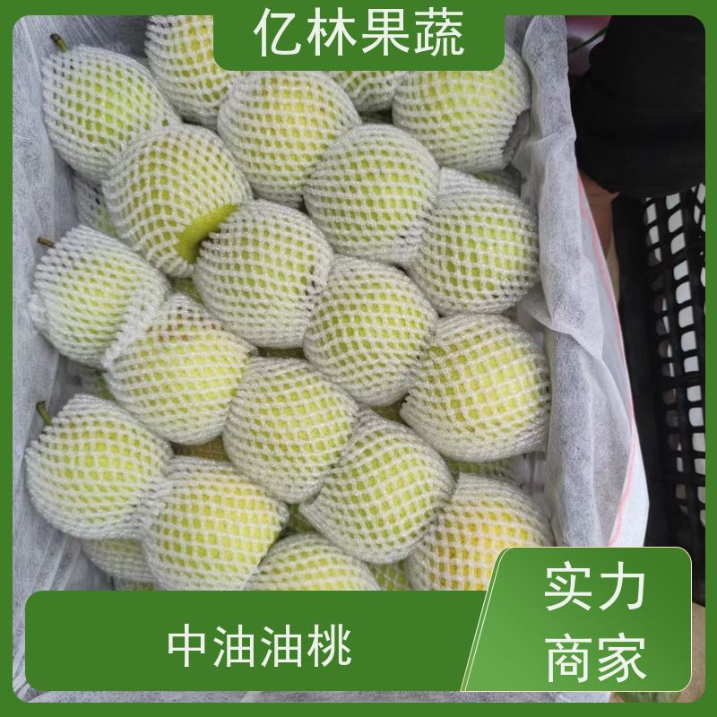 基地供应 八盘梨树苗 果实饱满味道好 三公分现挖现发 品种齐全