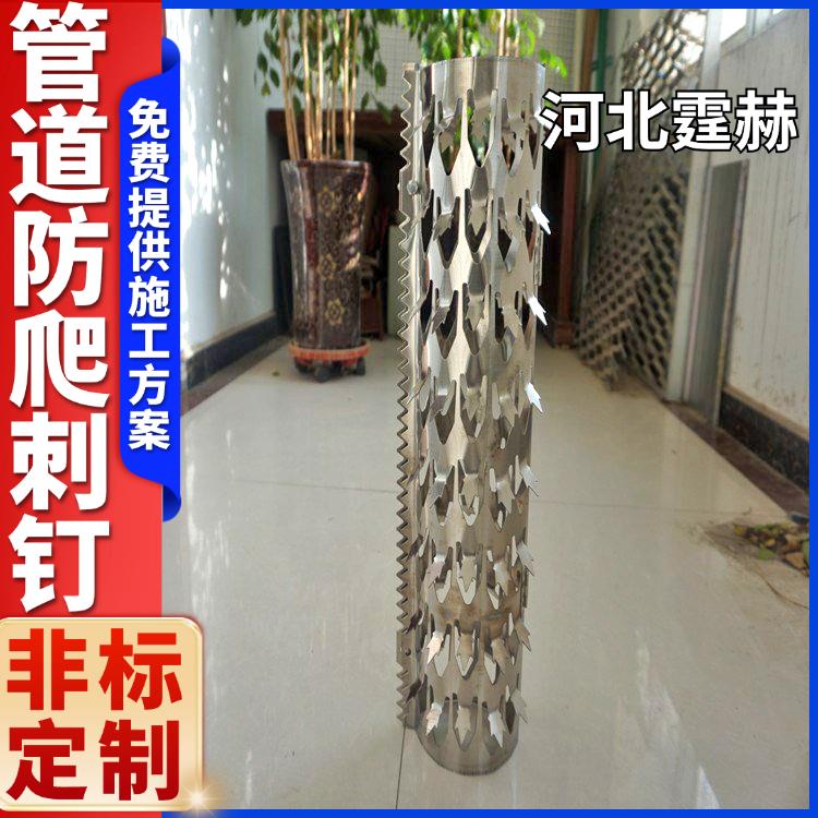 霆赫 不锈钢居民区防盗刺 阳台围墙防爬刺 管道全包刺钉 坚固实用