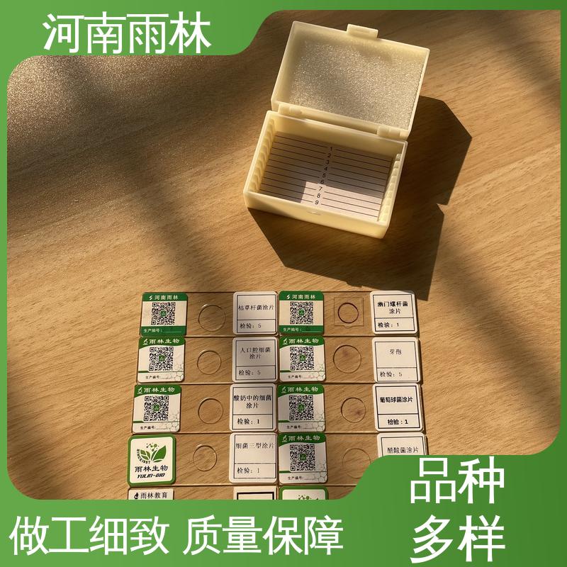 雨林教育工程 性价比高 质量保障 植物切片 支持定制
