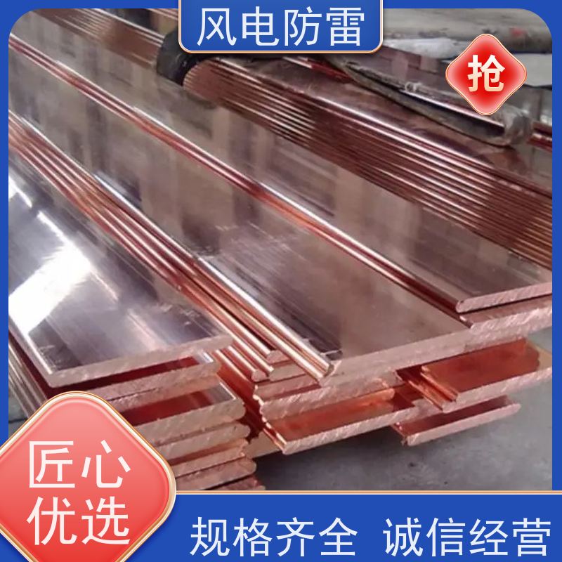 风电防雷 支持定做 延长使用寿命 特殊非 金 属材料 50*5mm镀铜扁钢