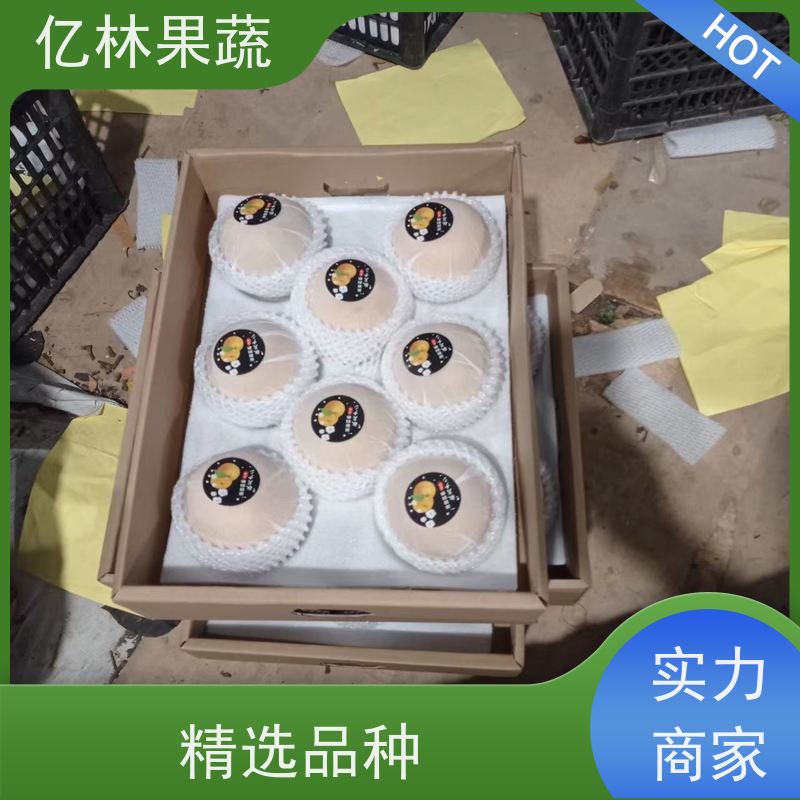 亿林苗木 秋彤桃 新品种挑苗 香甜可口 易栽培桃树苗
