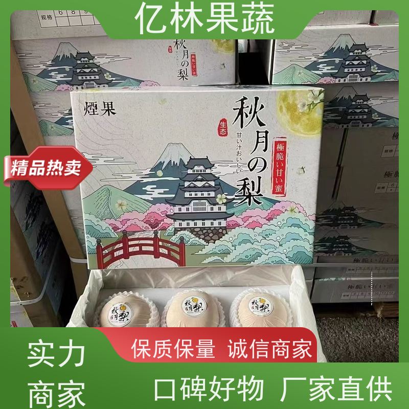 亿林苗木 成活率高 晚熟品种梨 口感脆甜 七月酥梨树苗