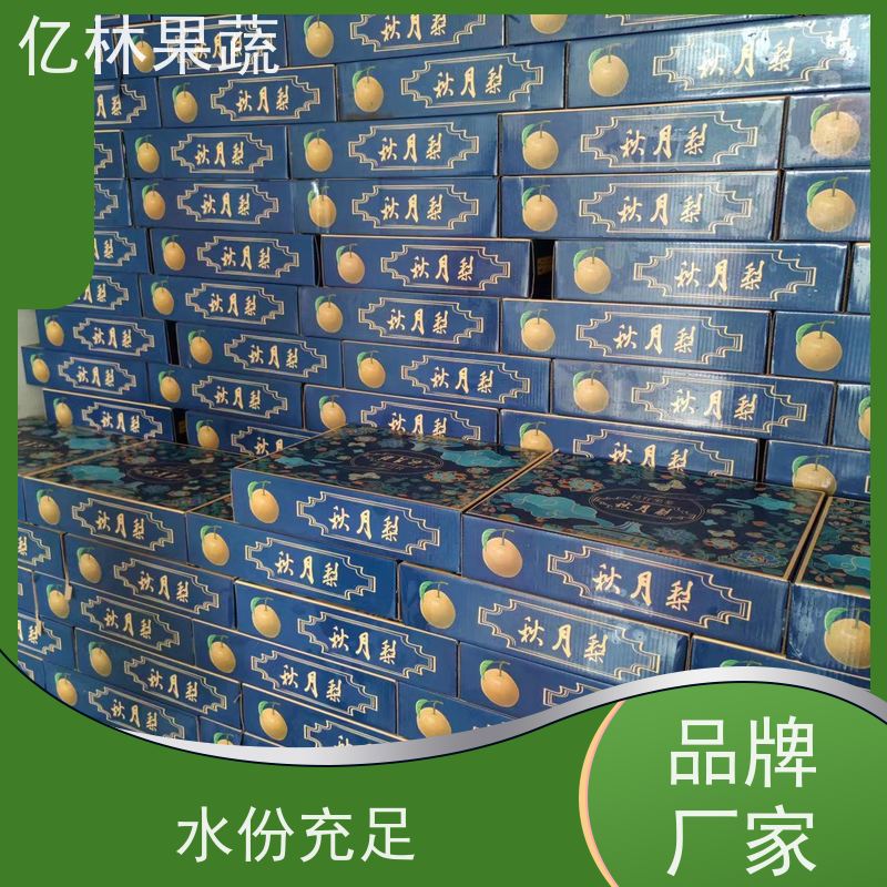 亿林苗木 丰水梨树苗 根系饱满成活率高 特产果树梨幼苗