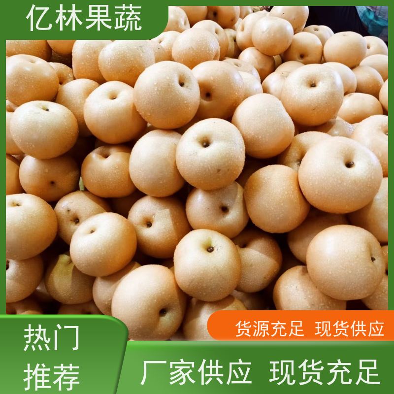 亿林苗木 根系饱满成活率高 黄尊蜜梨 口感香甜 嫁接梨树苗