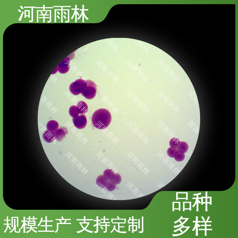 质量保障 售后无忧 显微切片 厂家销售 雨林教育工程