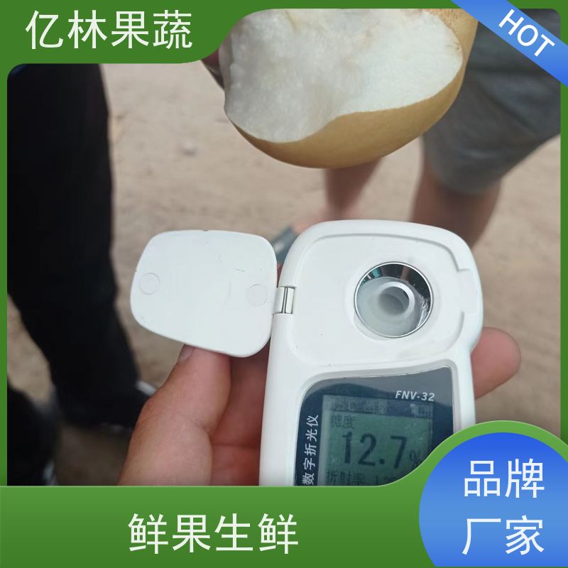 亿林苗木 冬桃苗 三公分现挖现发 品种齐全 果实饱满味道好