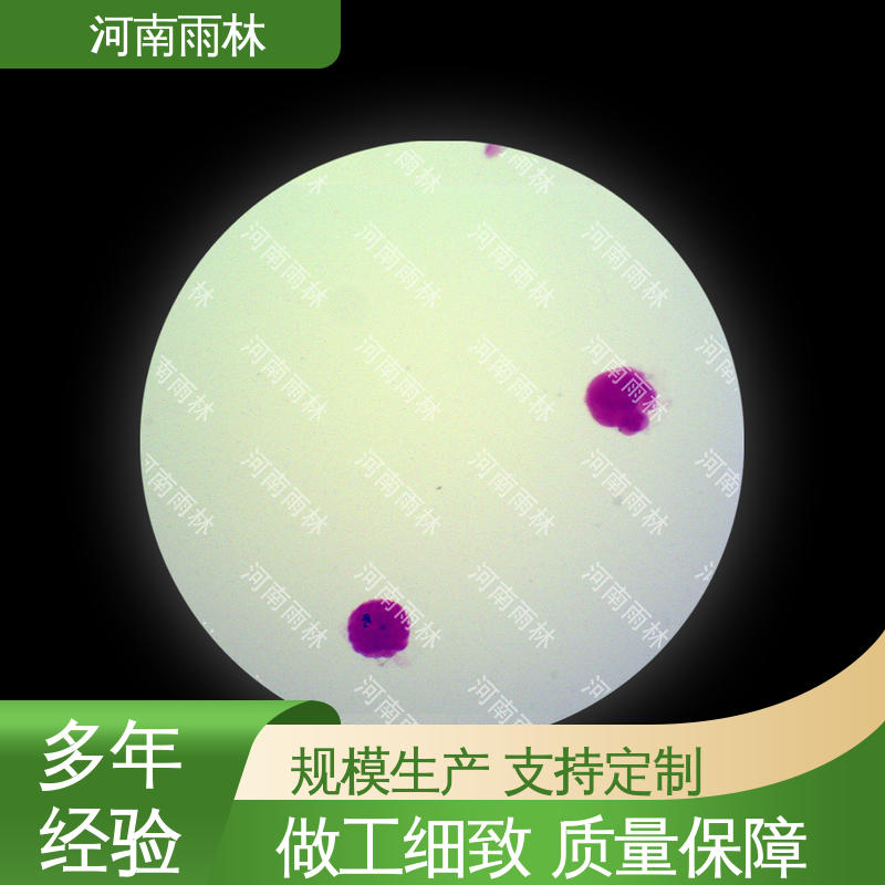 雨林教育工程 售后无忧 质量保障 教学切片 支持定制