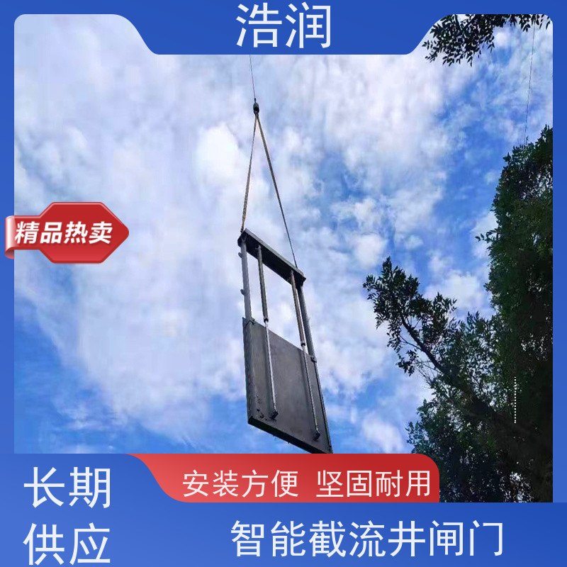 浩润 液动下开闸门 雨污分流 智能截流 品质可信