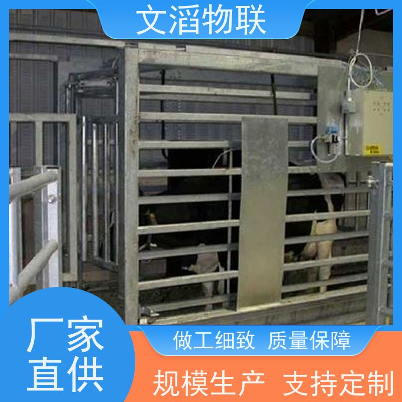 文滔WT-XM002自动化称重分群系统量程1500KG