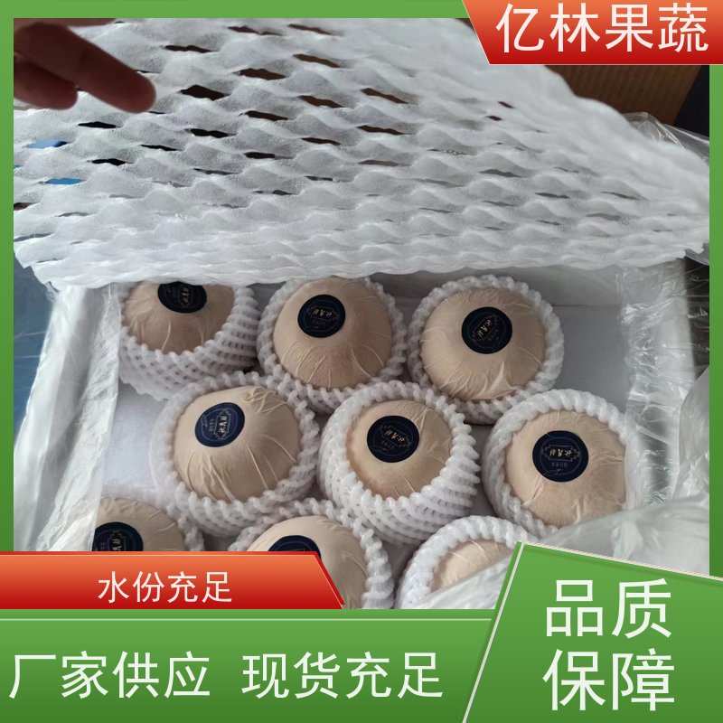 亿林苗木 秋彤桃 嫁接技术指导 抗寒能力强 果实饱满味道好