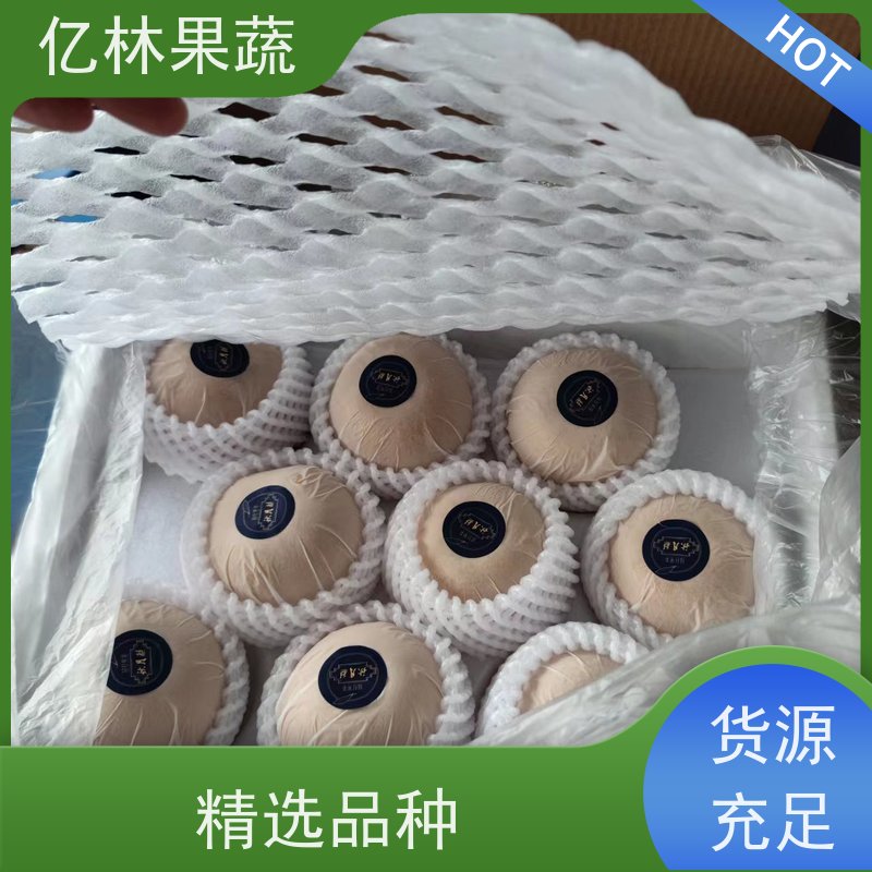 亿林苗木 黄冠梨树苗 根系饱满成活率高 黄尊蜜梨 口感香甜