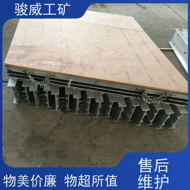 厂用 1200*1000 皮带硫化机 电动加压泵 体积小重量轻