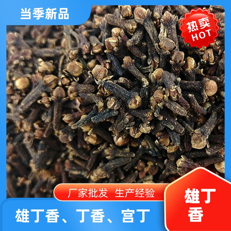 正宗公丁香香料原料有草果毕波良姜片无硫新货公丁香宫丁批发采购 