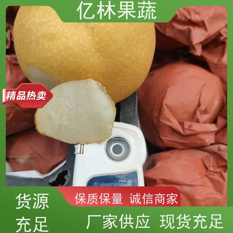 基地供应 晚熟桃树苗 现挖现发新鲜 粗两公分 成活率高