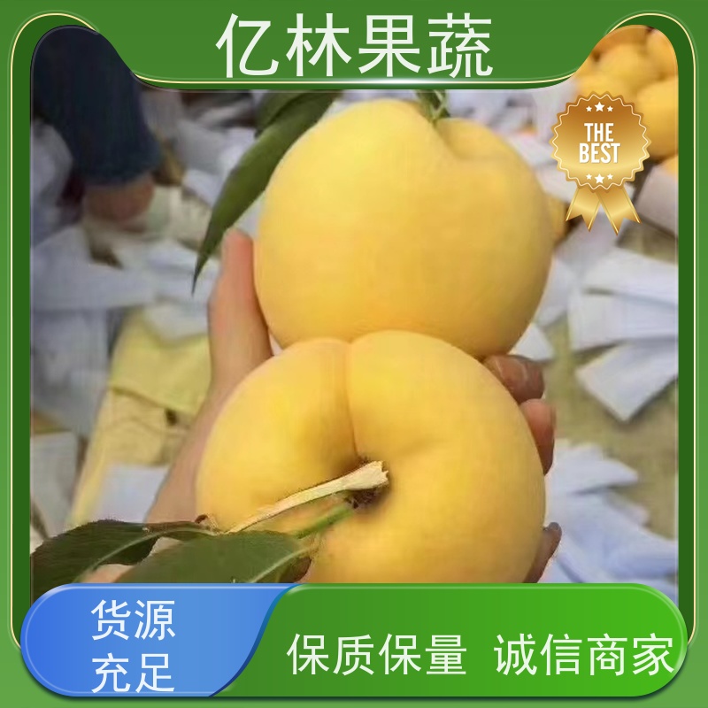 亿林苗木 成活率高 嫁接技术指导 抗寒能力强 圆黄梨树苗