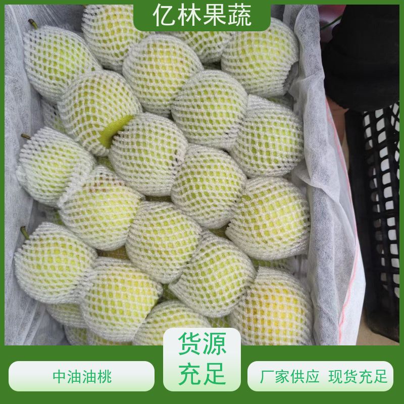 基地供应 果实饱满味道好 新品种梨苗 香甜可口 八盘梨树苗