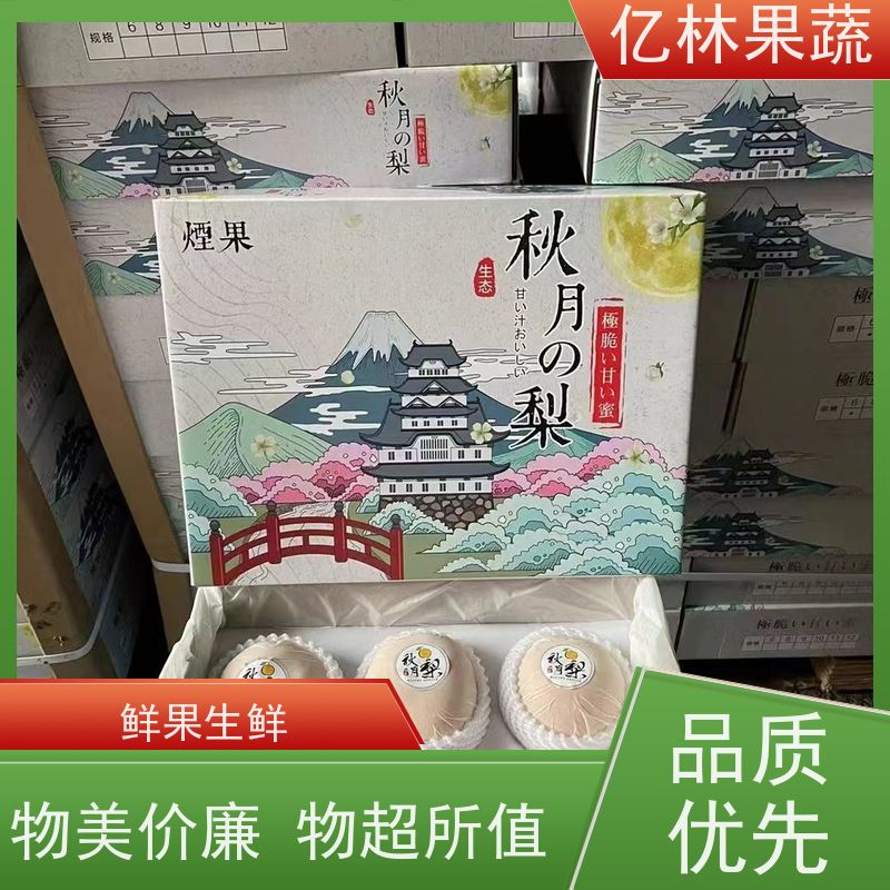 亿林苗木 八盘梨树苗 基地直发 盆栽地栽庭院红香酥梨苗