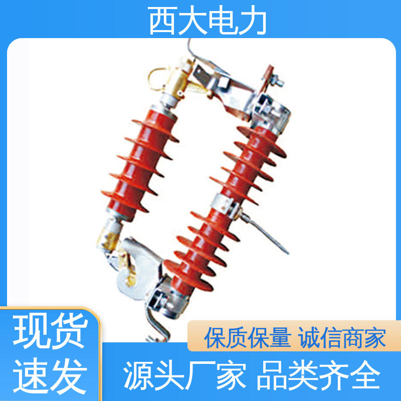 HY5WS-17 支持根据图纸定做 跌落式避雷器 西大电力