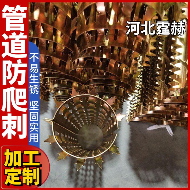 霆赫 围墙阳台防攀爬平刺 燃气雨水排水管镀锌不锈钢防爬刺 种类多样