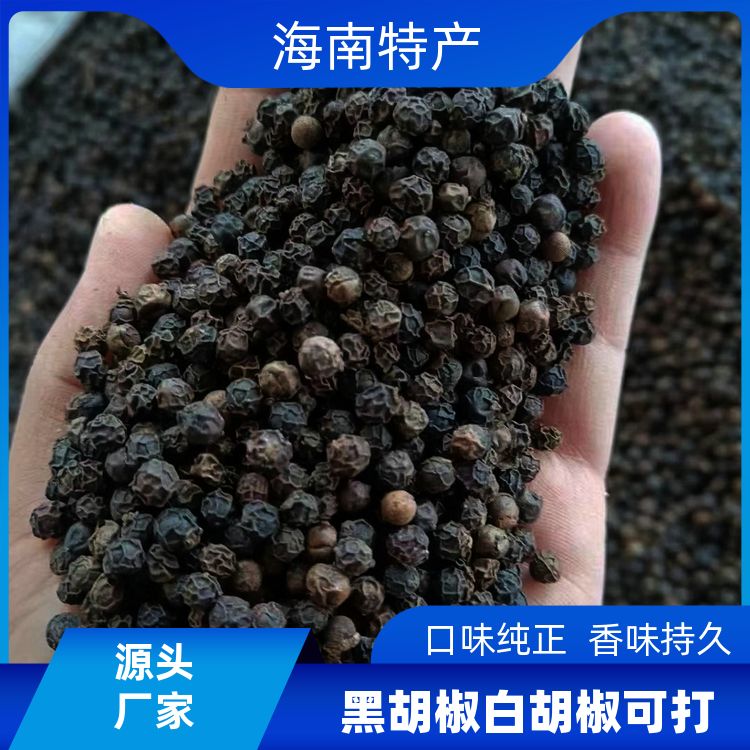 正宗黑胡椒500g研磨有香菜籽丁香茅草寇厂商销售黑胡椒粒无硫干货 
