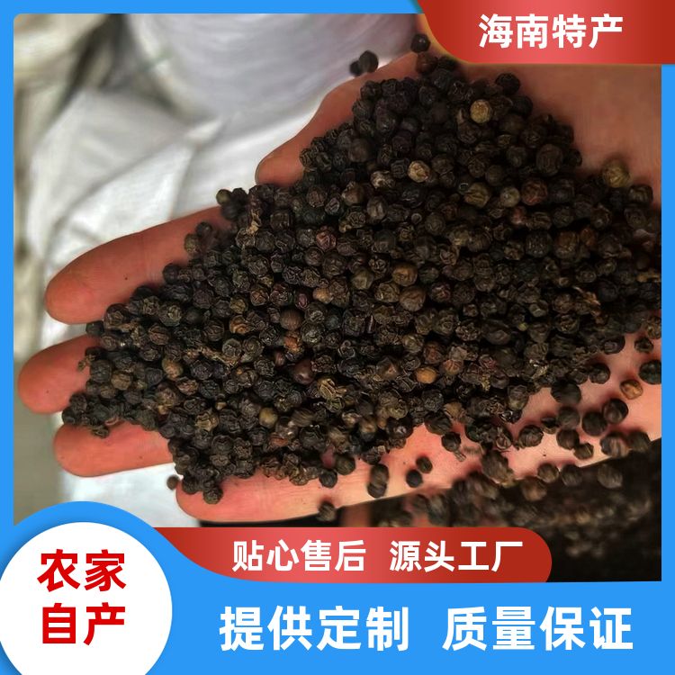 黑胡椒新货白胡椒粉有白胡椒草果小甘草免费打粉黑胡椒粒无硫干货 