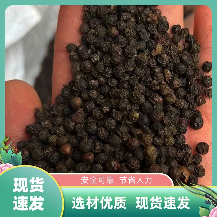 黑胡椒新货白胡椒粉有麻辣烫老卤味组合定制加工黑胡椒粒调料大全 