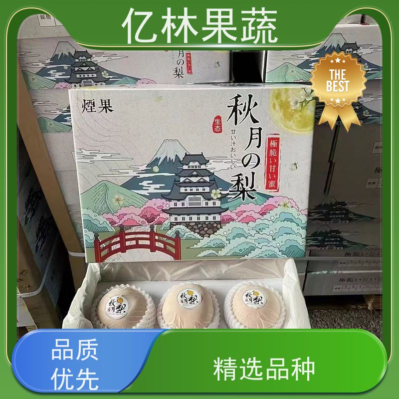 基地供应 晚熟桃树苗 三公分现挖现发 品种齐全 果实饱满味道好