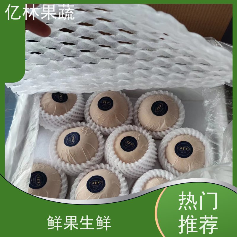 亿林苗木 园林嫁接桃苗 三公分现挖现发 品种齐全 易栽培桃树苗