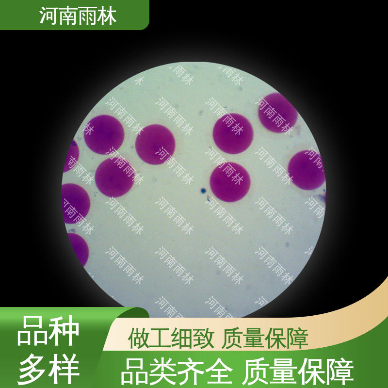 生物切片 售后无忧 质量保障 支持定制 雨林教育工程