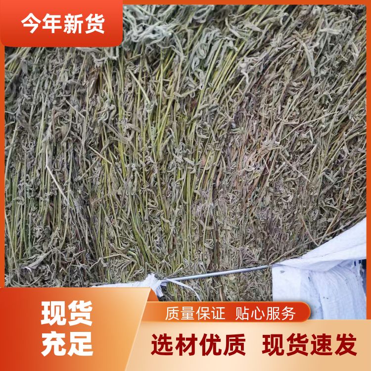 香草500g细梗香草潮州卤水麻辣鸭货口味纯正细香草香薷草 定制加工 