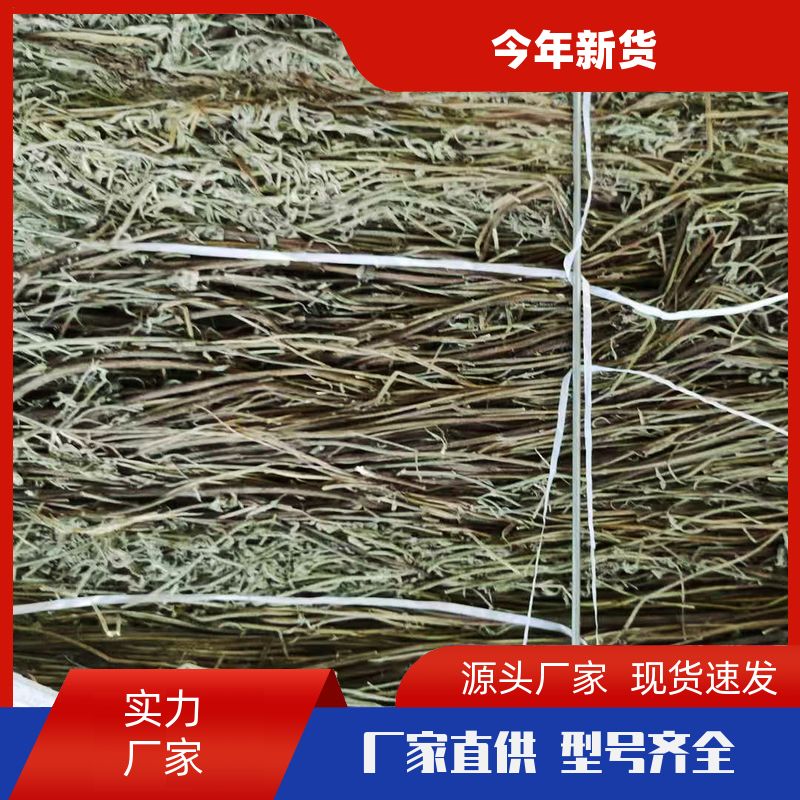 细香草特香草奇香串串香火锅麻辣烫口味纯正细香草香薷草 生产厂家 