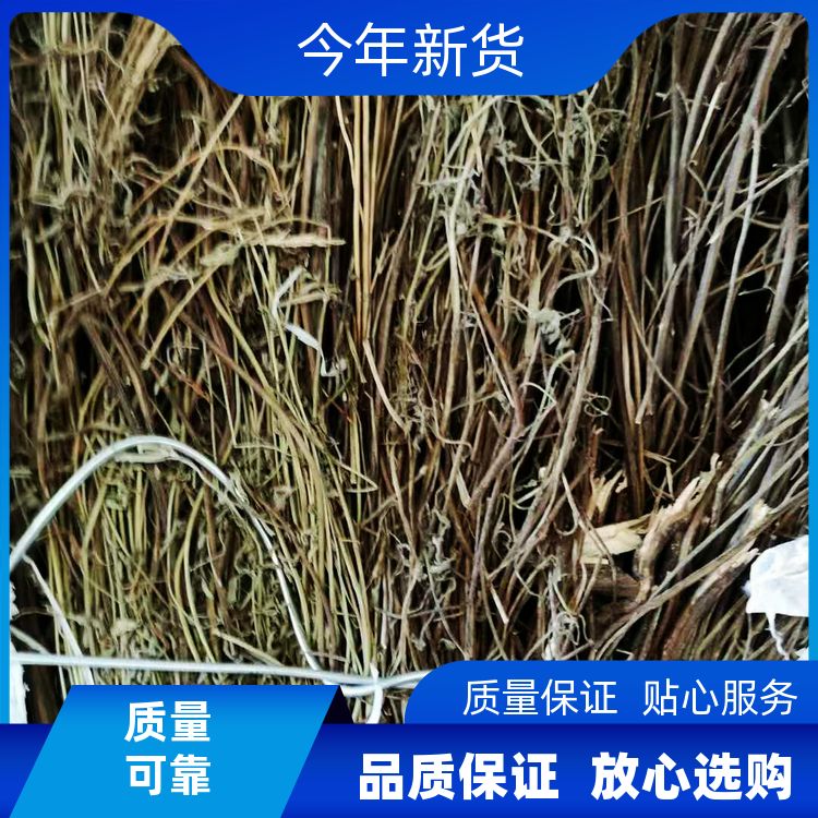武汉明辉香草500g有槟榔玉果一口钟定制加工细香草香薷草 厂商销售 