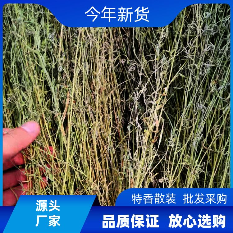 武汉明辉香草500g当季新料配料齐全新货味香细香草香薷草 厂商销售 