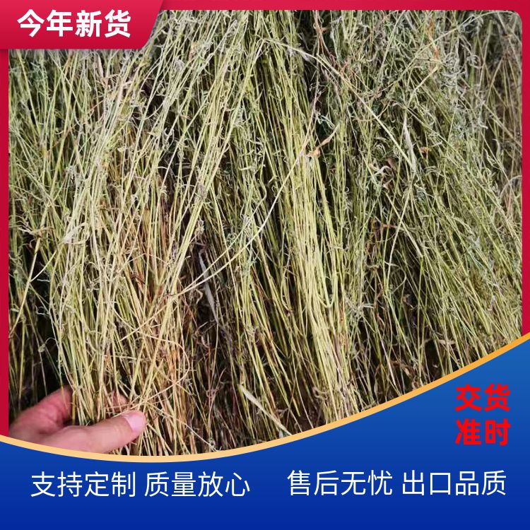 天然细香草石香薷快卤热卤现捞川菜定制加工细香草香薷草 批发采购 