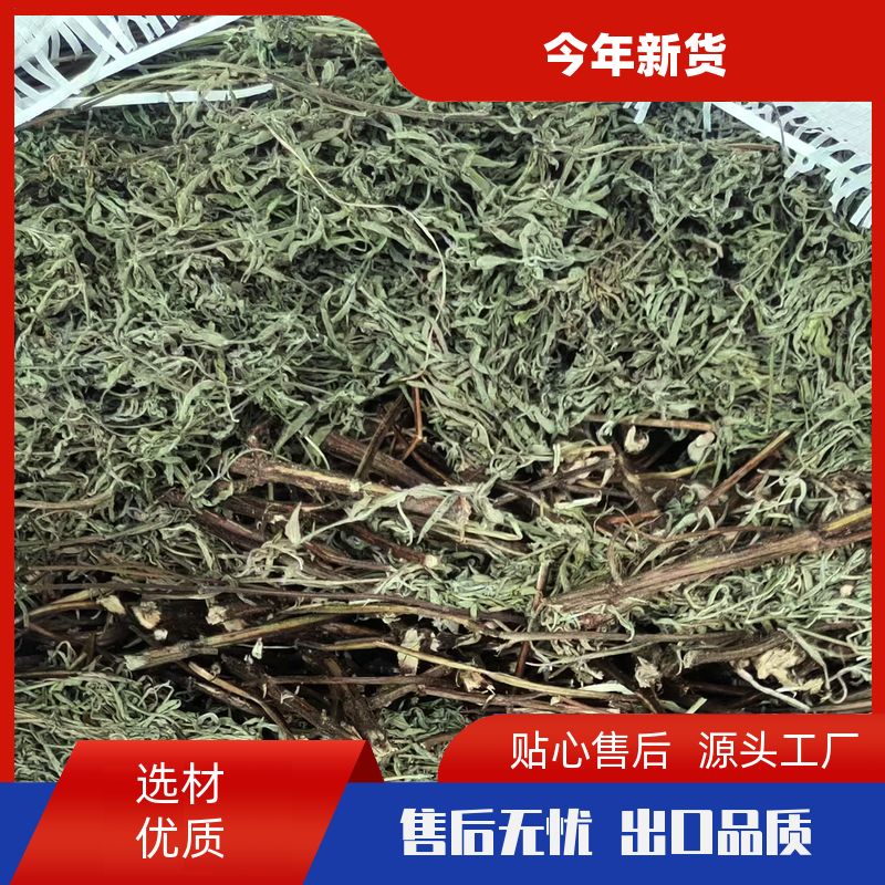 香草500g细梗香草有槟榔玉果一口钟特香散装细香草香薷草 厂商销售 