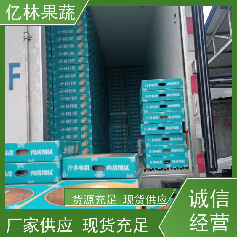基地供应 根系饱满成活率高 盆栽地栽庭院红香酥梨苗 玉露香梨树苗