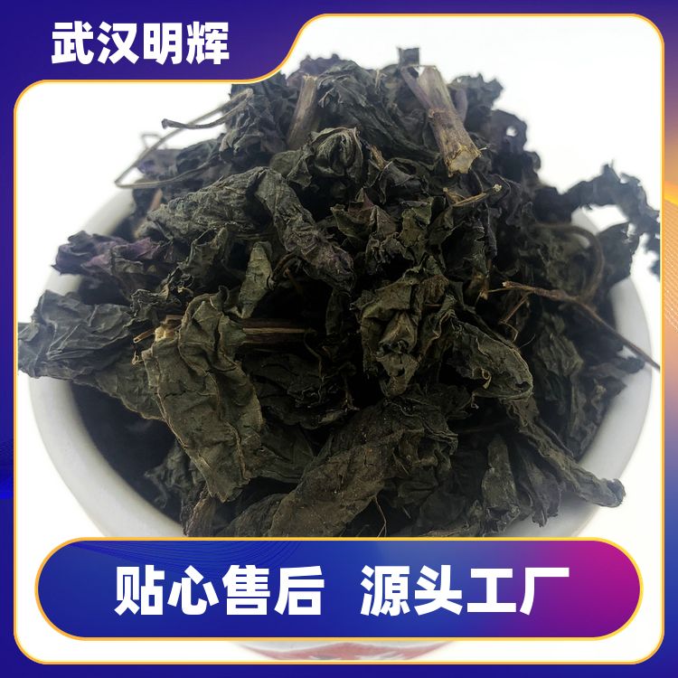 紫苏叶原料500g直供不熏染食用干货泡脚烧鱼虾味香天然紫苏籽批发