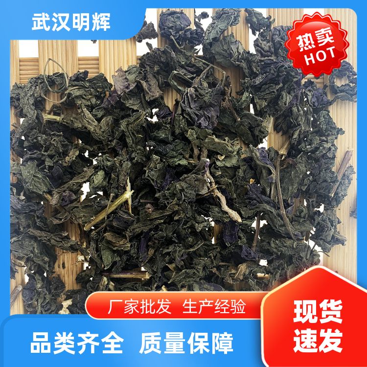 明辉调料紫苏叶500g天然紫苏子叶干货口味纯正紫苏叶香苏厂家定制