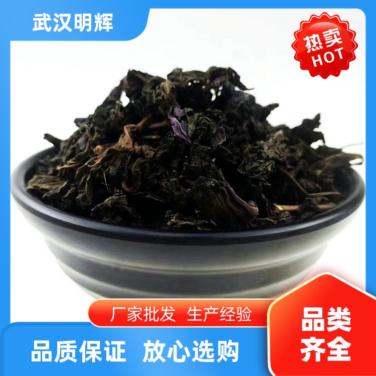 紫苏叶原料直供不熏染泡茶食用紫苏叶粉特香散装紫苏香苏厂家直供